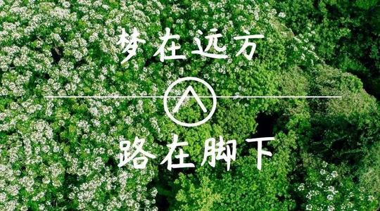 上?？婆d儀器